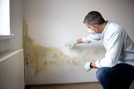 Best Mold Removal for HVAC Installations  in Dillingham, AK